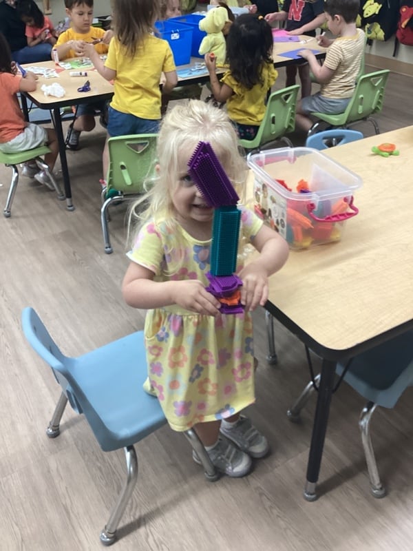 Bristle Blocks
