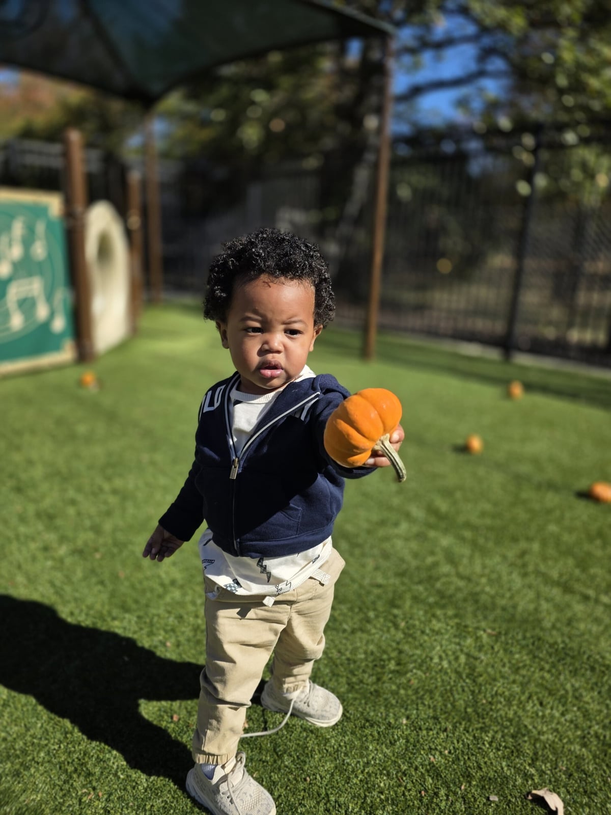 Magical Pumpkin Patch