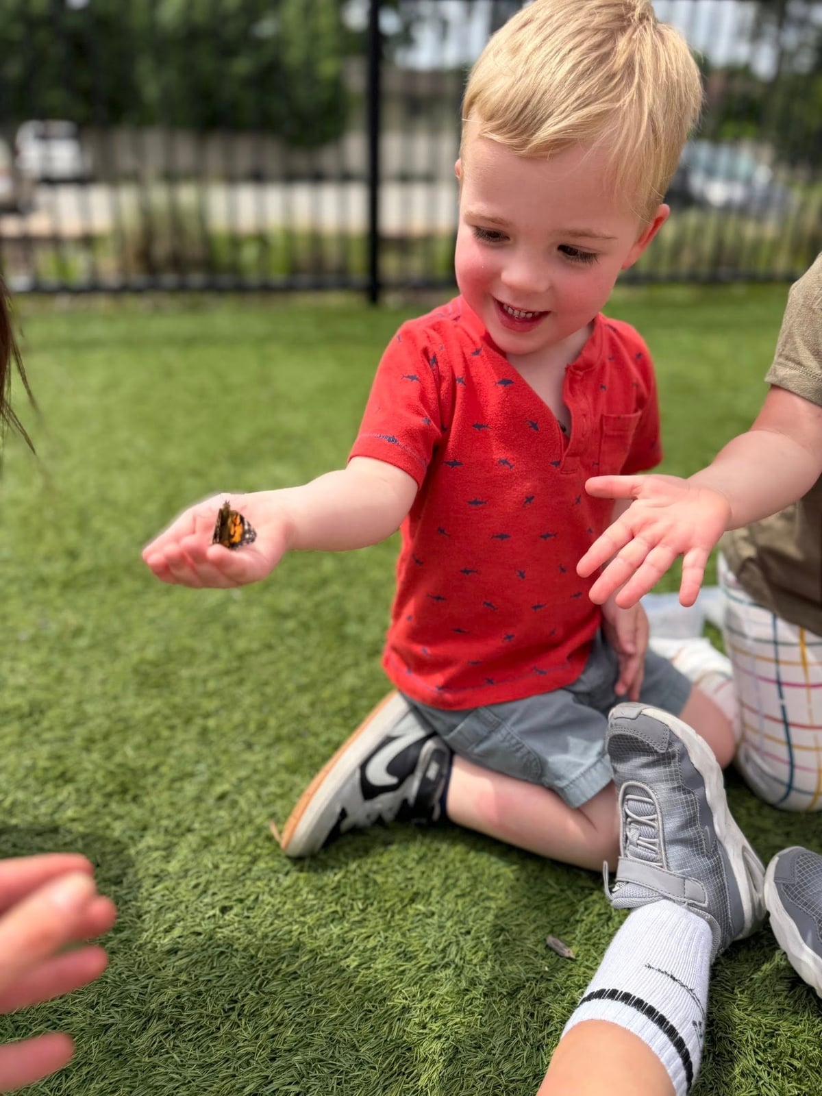 Butterfly release day!