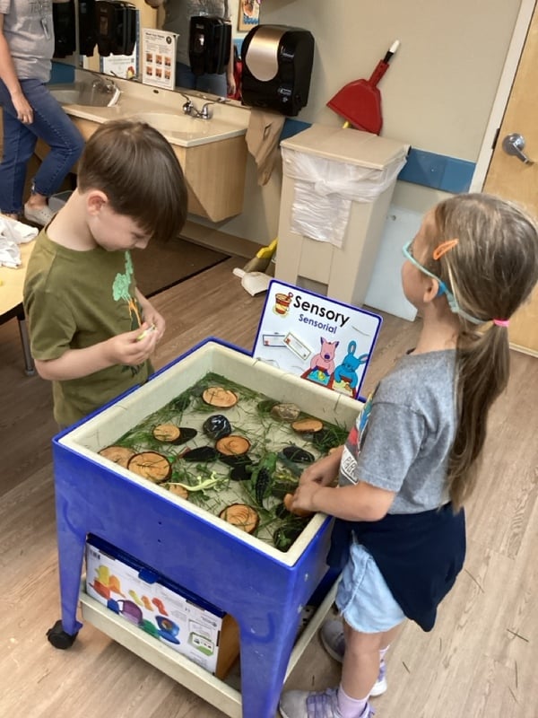 Sensory Table