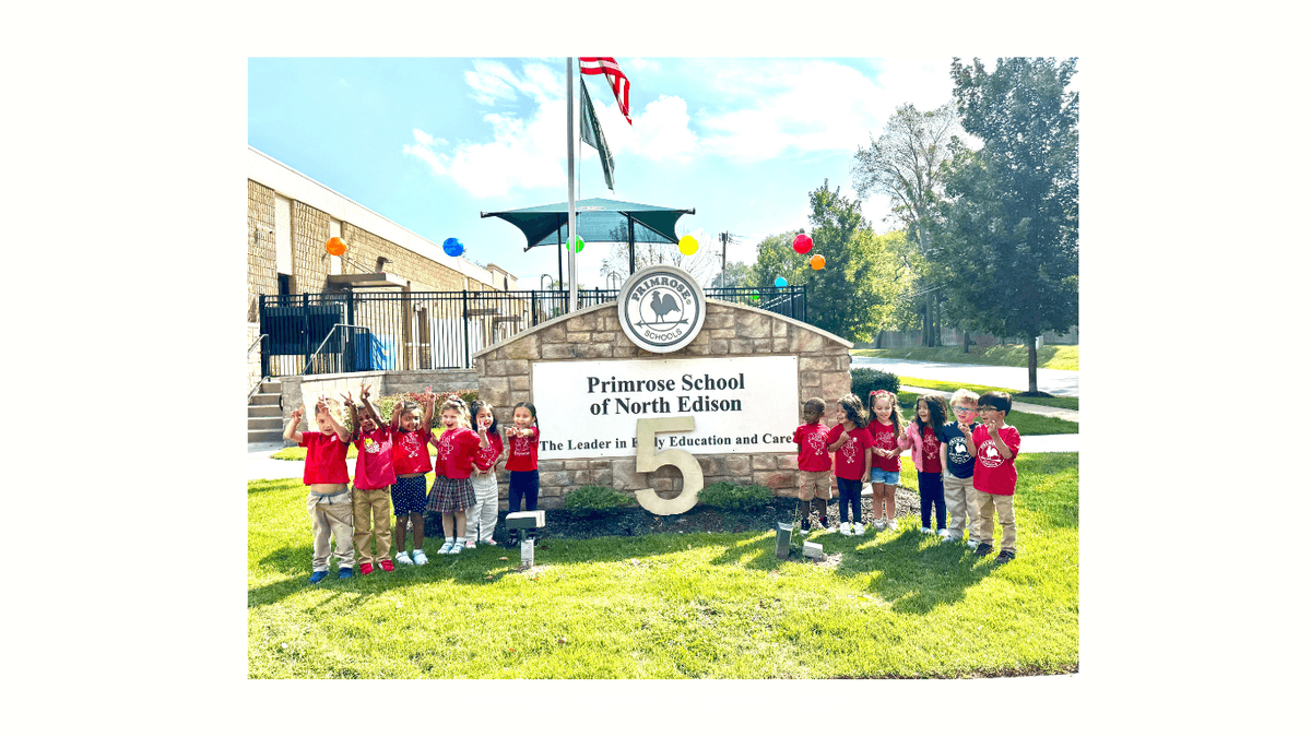 🎉✨ We’re turning 5! ✨🎉