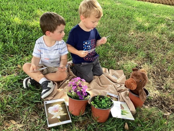 preschool pathways