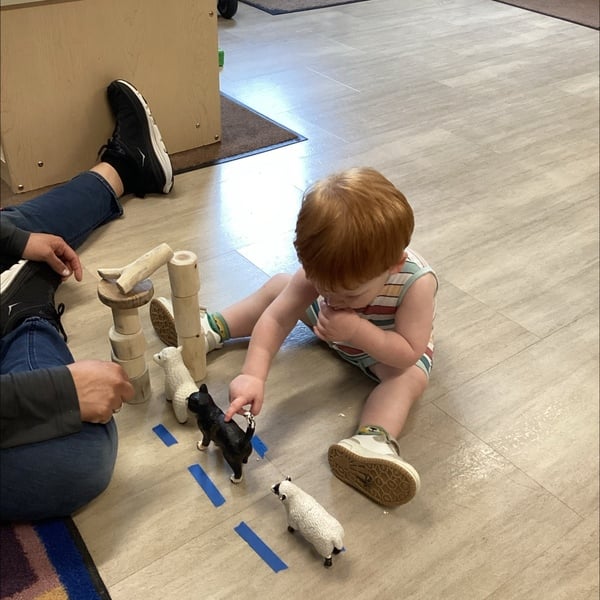 toddler classroom, animals, habitats