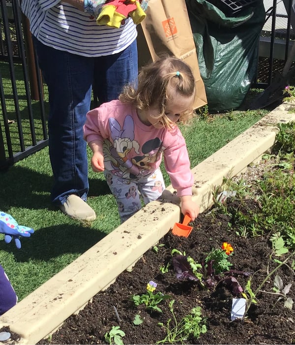Gardening in Young Early Preschool for 2's