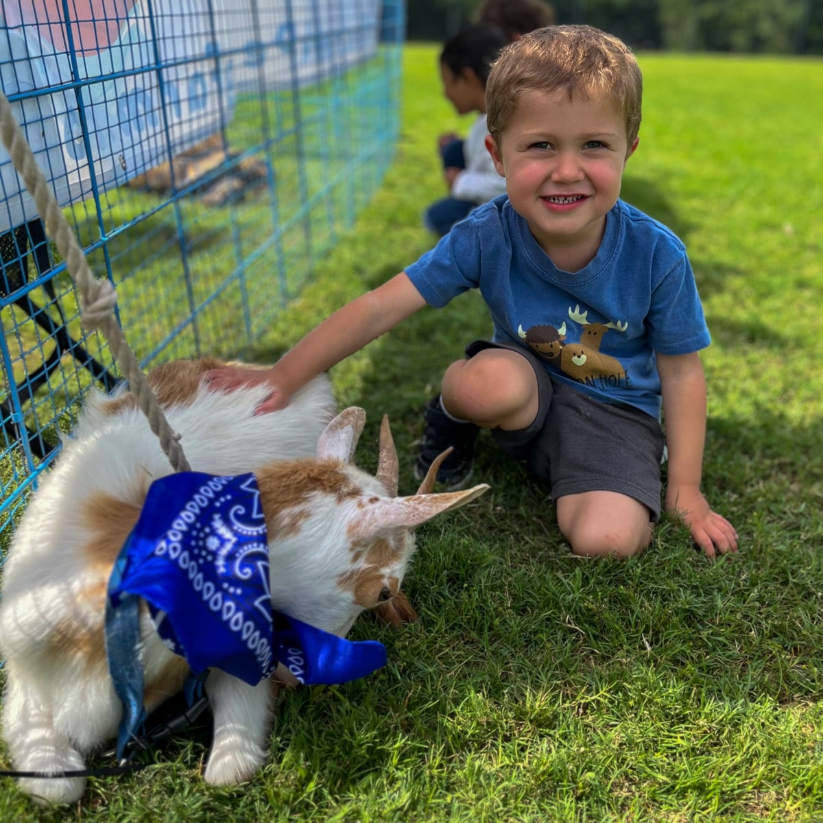 PISD Pre Kindergarten