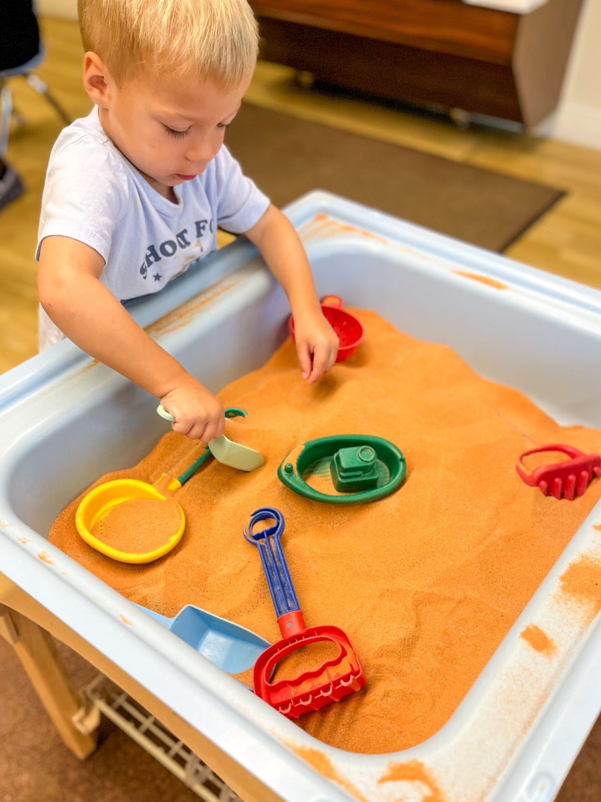 Sensory Table