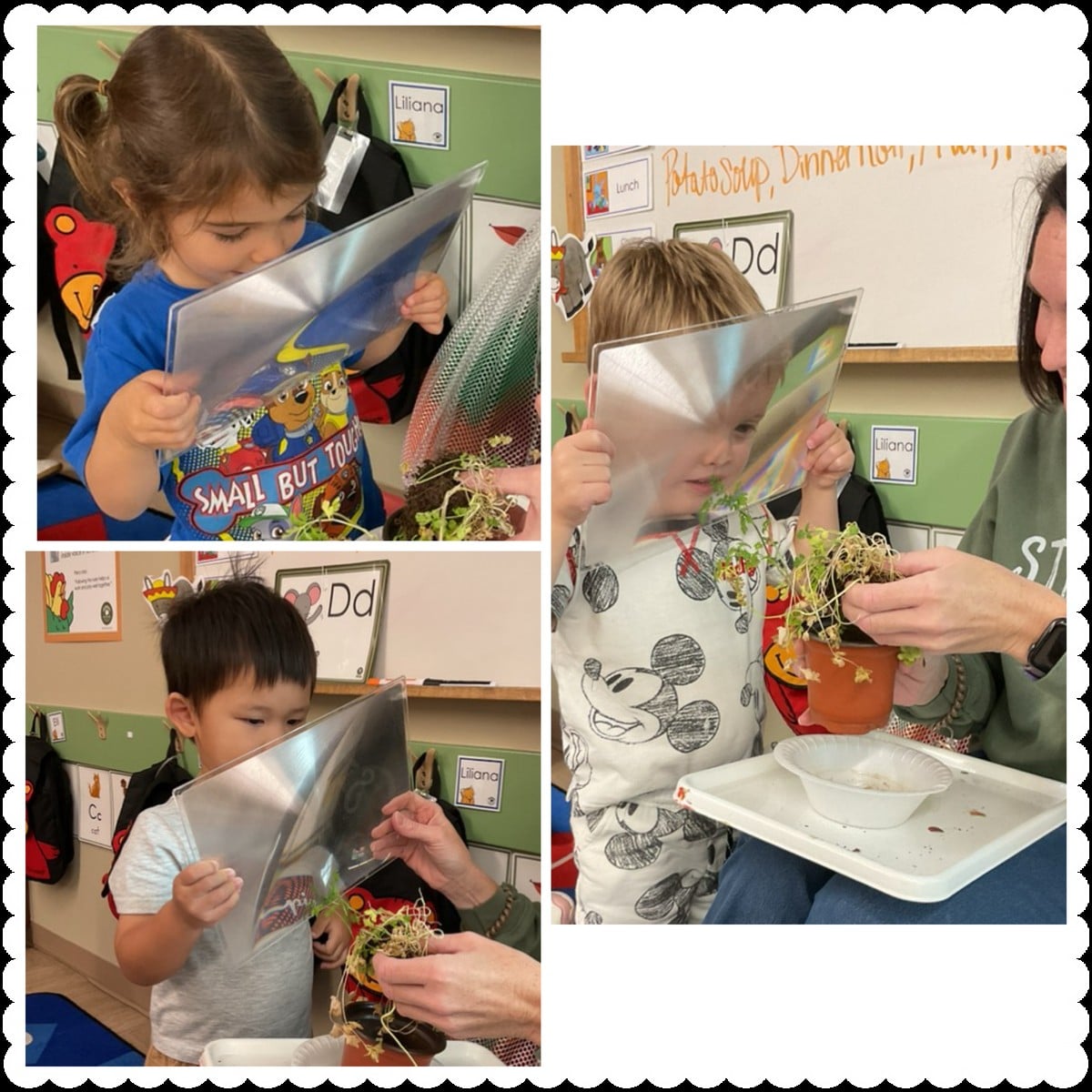 Preschool 