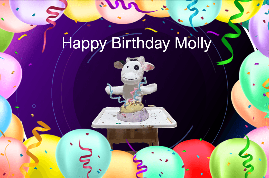 Molly the Cow celebrating birthday