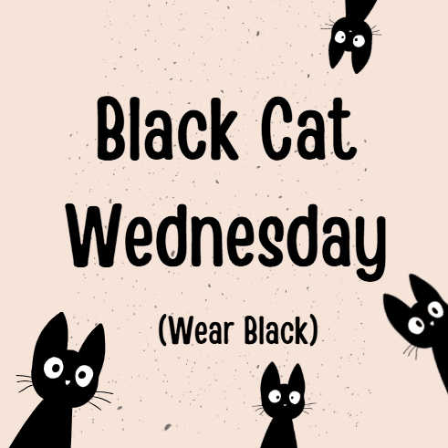 Black Cat Wednesday