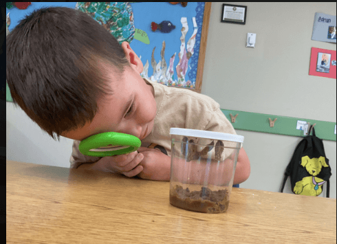 🐛🦋 Preschool Pathways Butterfly Discovery 🦋🐛