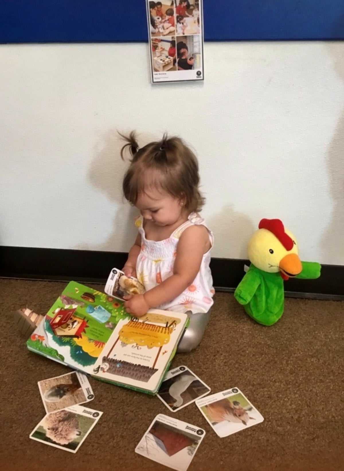 Toddler Classroom