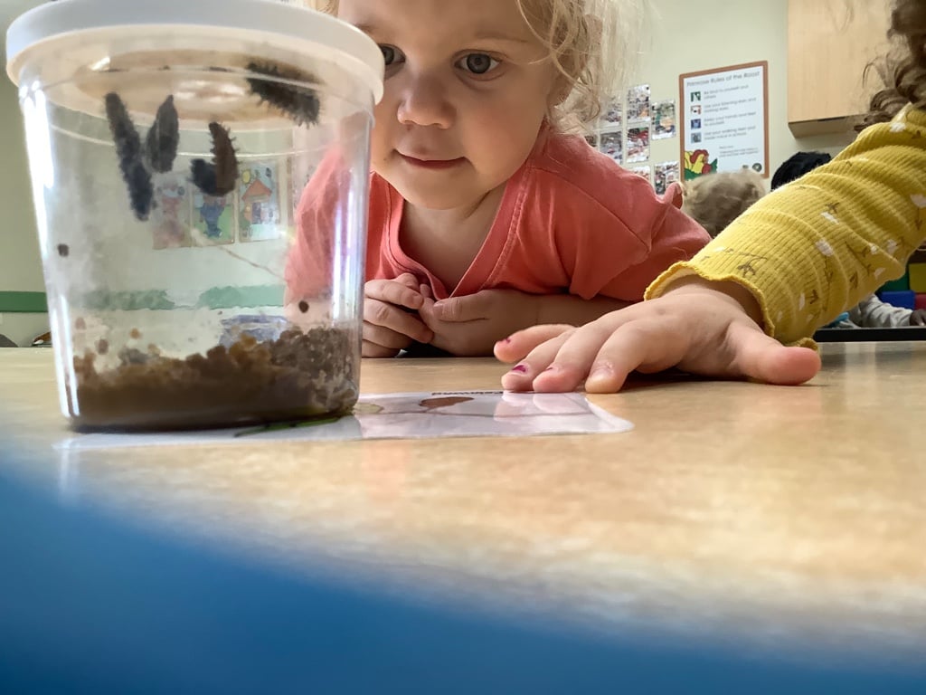 Early Preschool