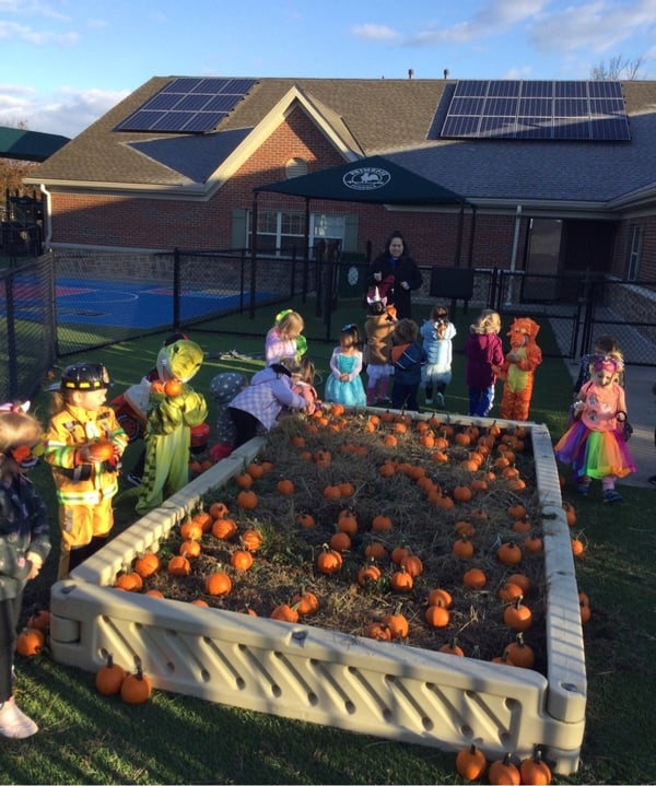 Magical Pumpkin Patch 