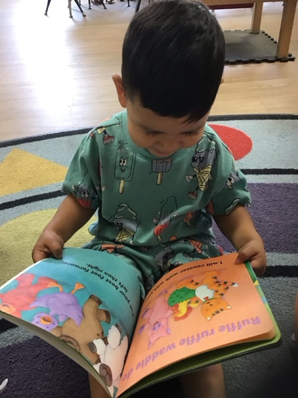 reading 