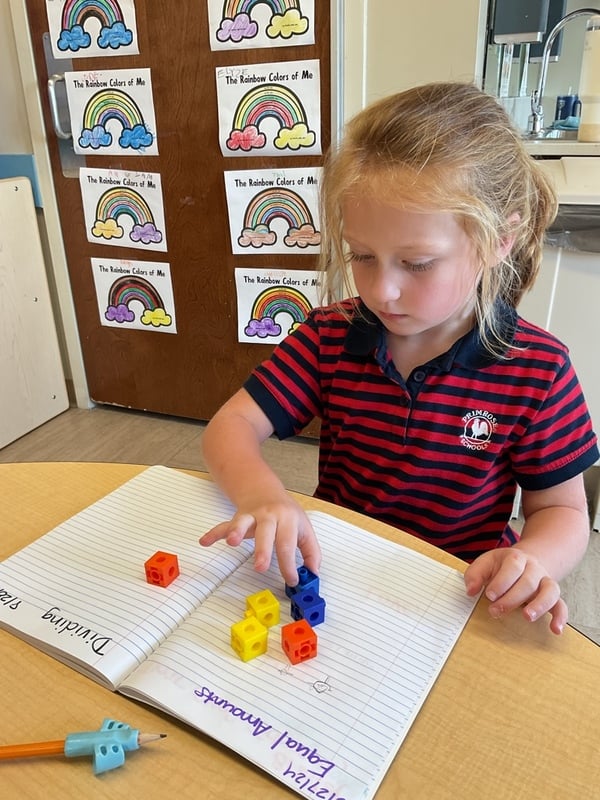 PPK small group literacy math science STEM learning circle time curriculm based top rated