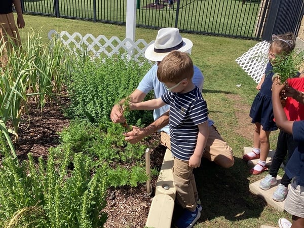 daycare gardening school
