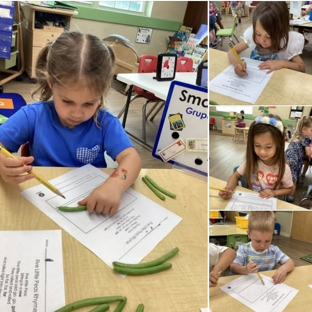 Primrose preschool literacy