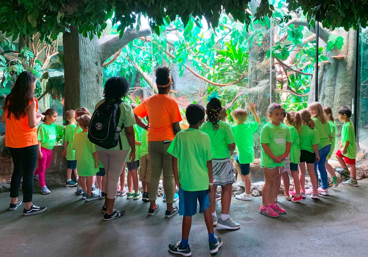 Summer Camp