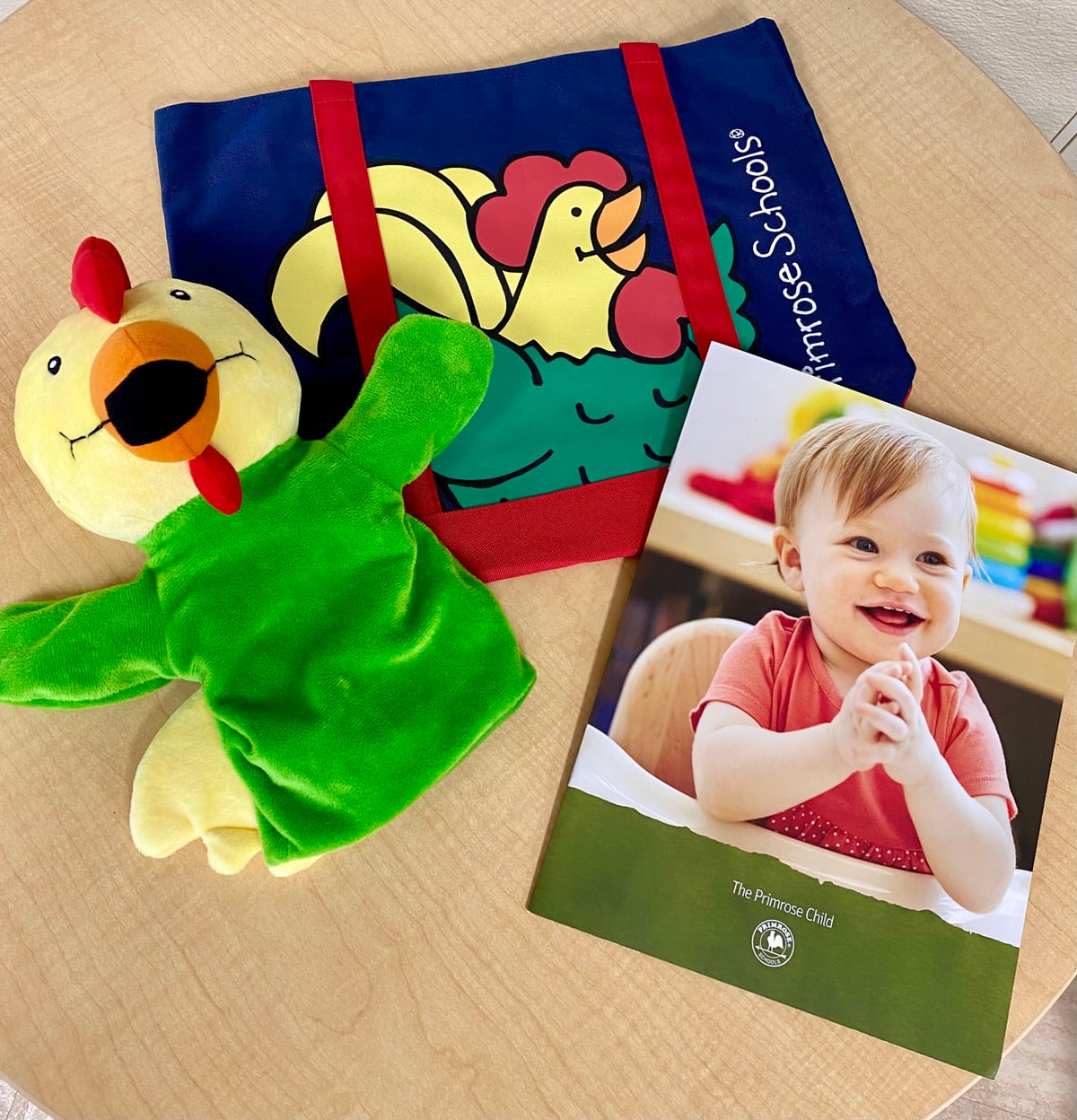 Toddlers Welcome Carrollton Lewisville Texas Primrose Castle Hills Infant, Preschool, Kindergarten, Daycare, Childcare, Early Education. Carrollton, Lewisville, Dallas, Texas. 75010, 75007, 75056