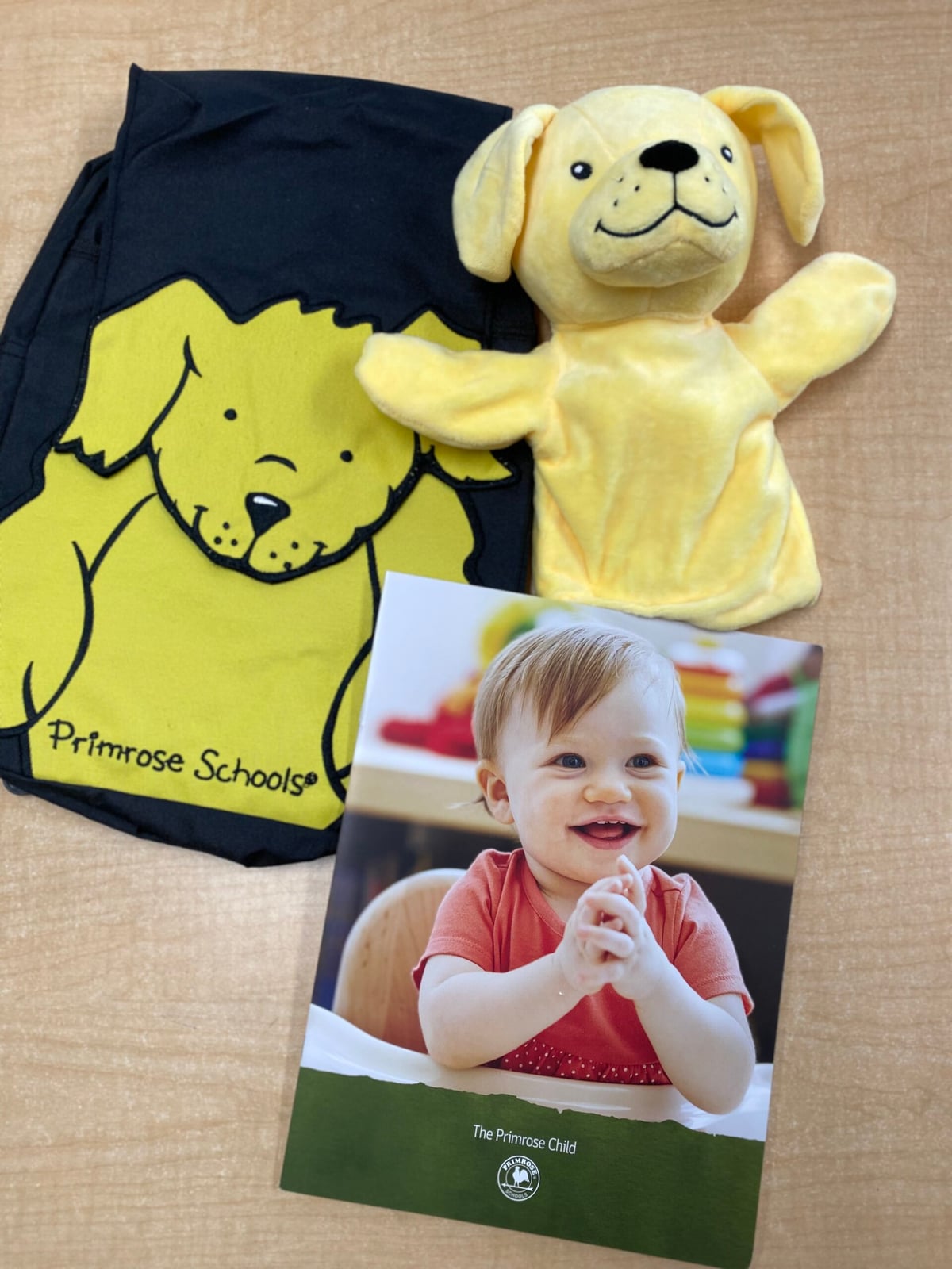 Early Preschool  Welcome Primrose Castle Hills Carrollton Lewisville Texas Primrose Castle Hills Infant, Preschool, Kindergarten, Daycare, Childcare, Early Education. Carrollton, Lewisville, Dallas, Texas. 75010, 75007, 75056