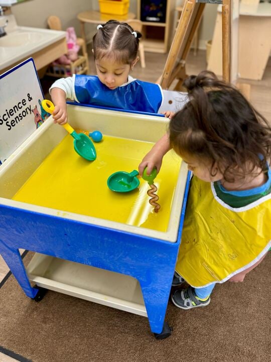 Primrose Vista Ridge-Early Preschool
