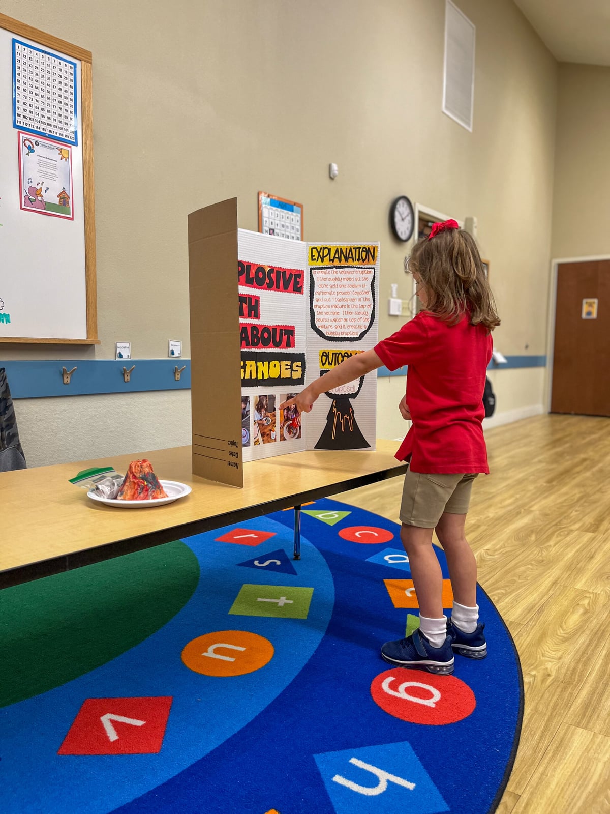 Science Fair
