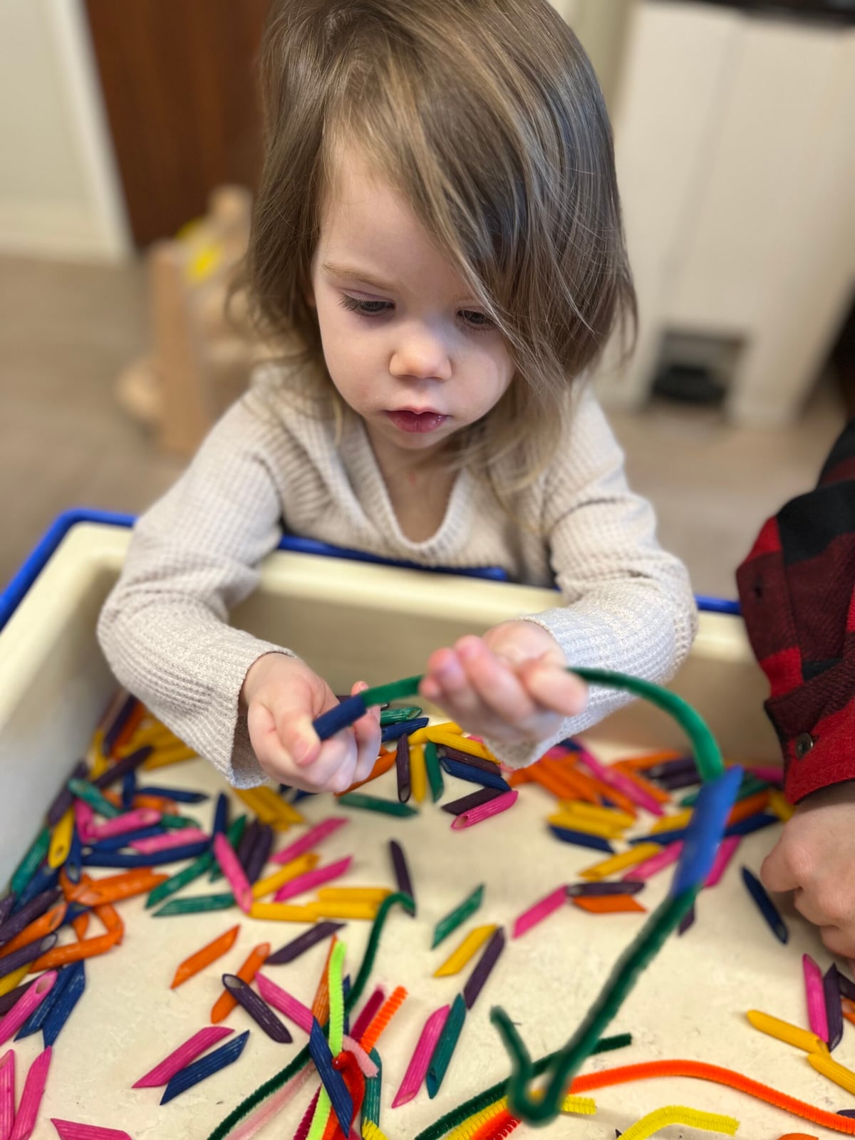Sensory Time!