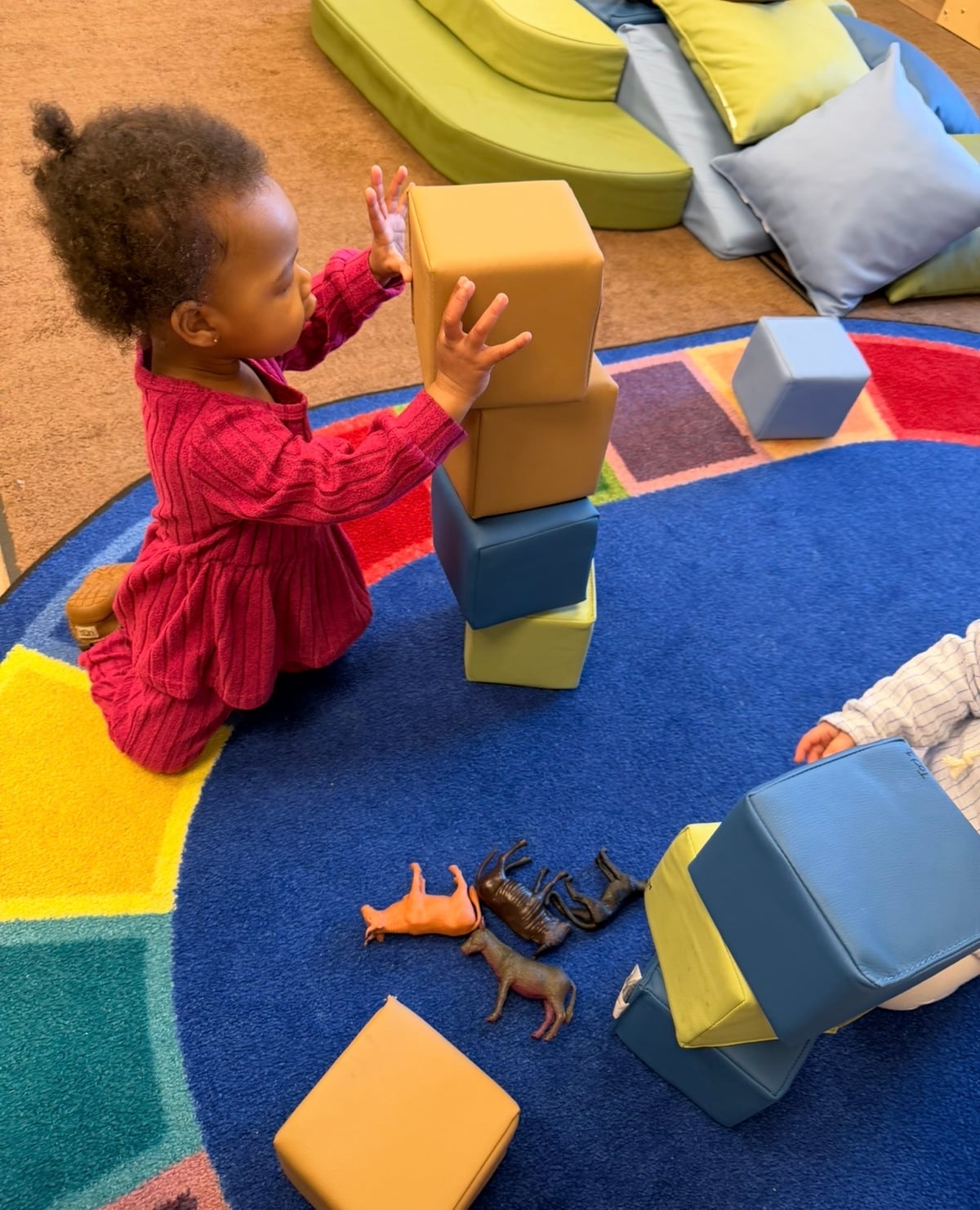 Making Animal Homes