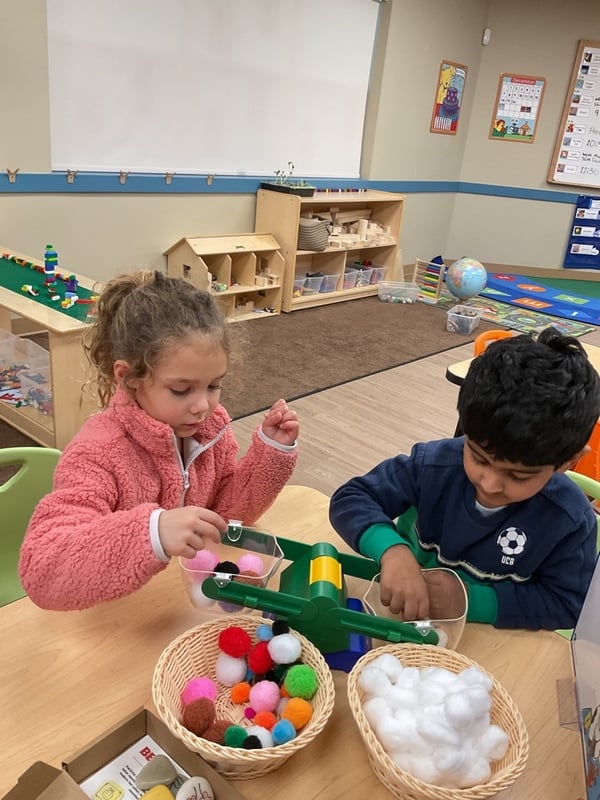 Primrose of Walnut Creek East STEM