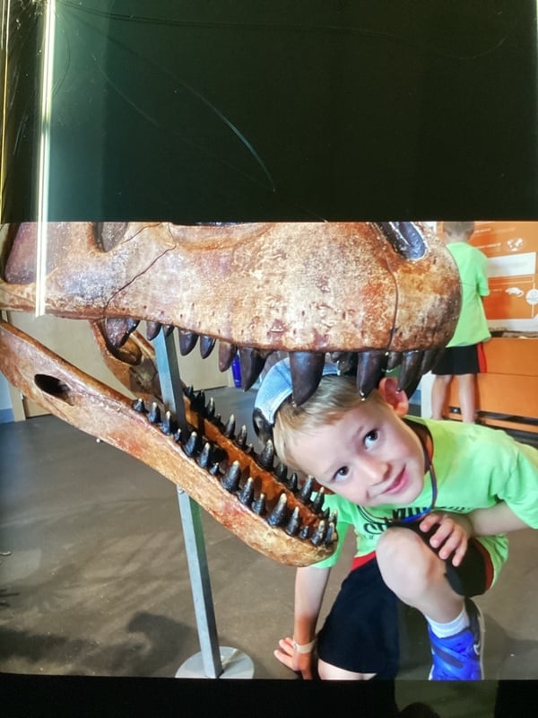 Dino Dig
