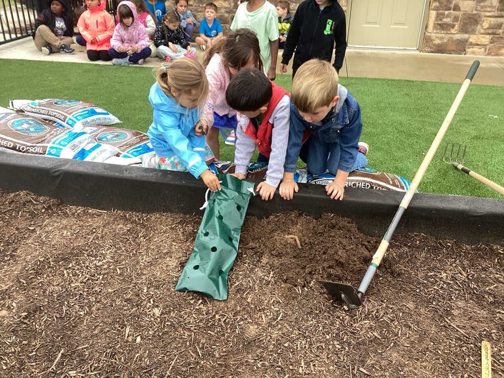 Children in the garden