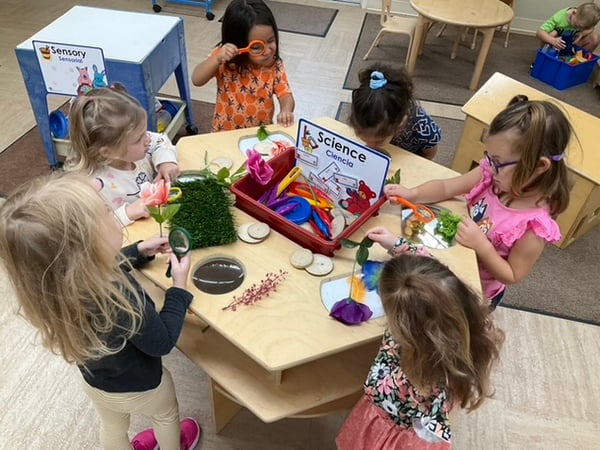 Primrose Schools- Pinnacle-  Preschool