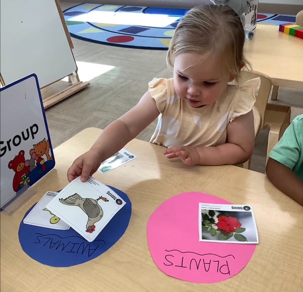 Preschool students exploring science activity at Alliance preschool