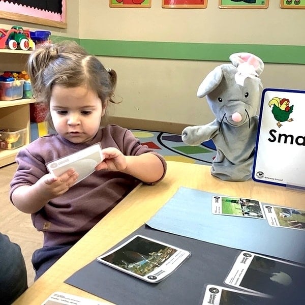 Preschool girl exploring photo cards during a small group activity with an elephant puppet, developing language, categorization, and early critical thinking skills at the best preschool in Heritage.
