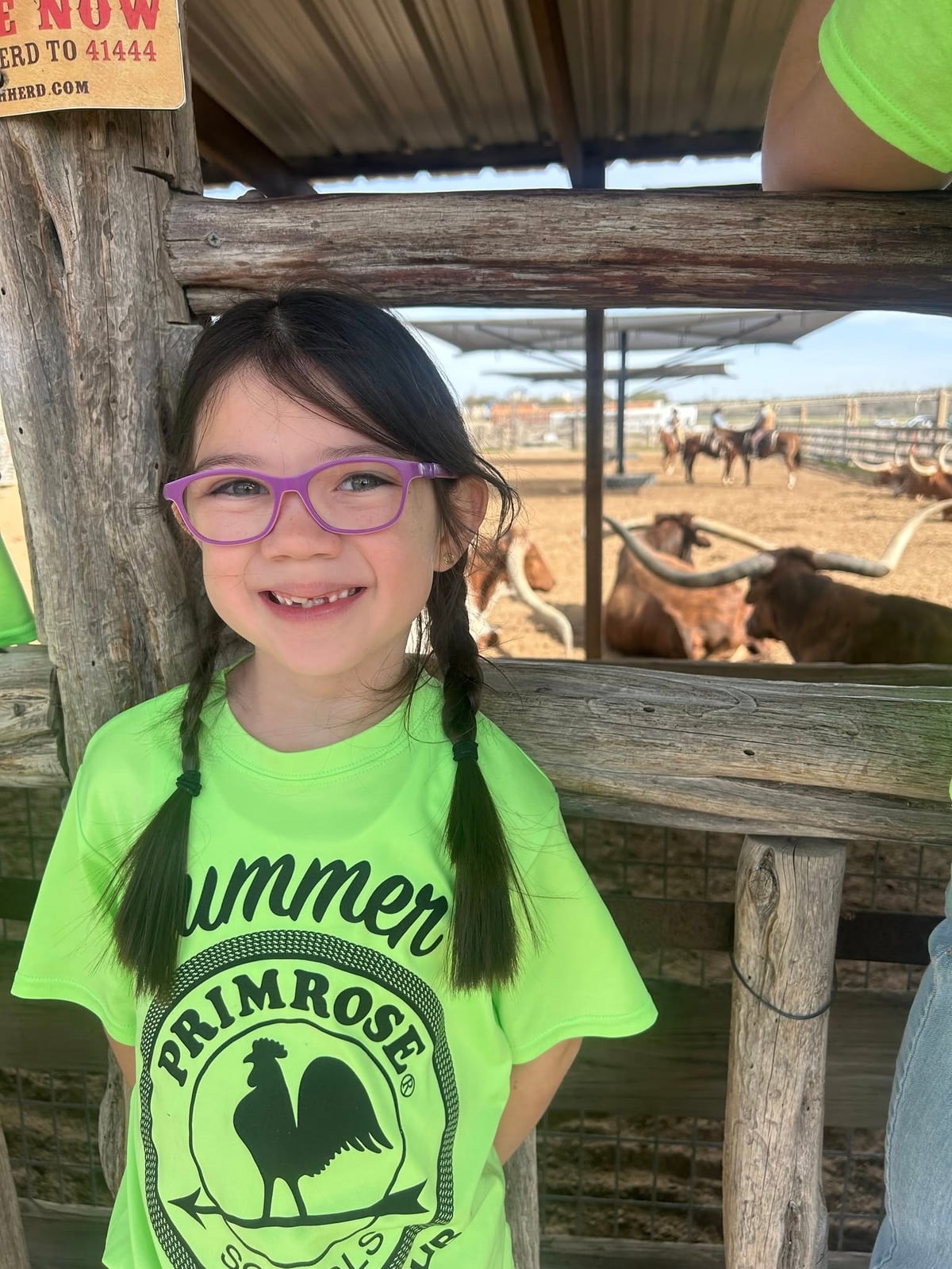 Young girl in a bright green summer camp shirt standing in front of the longhorn cattle at the Fort Worth Stockyards