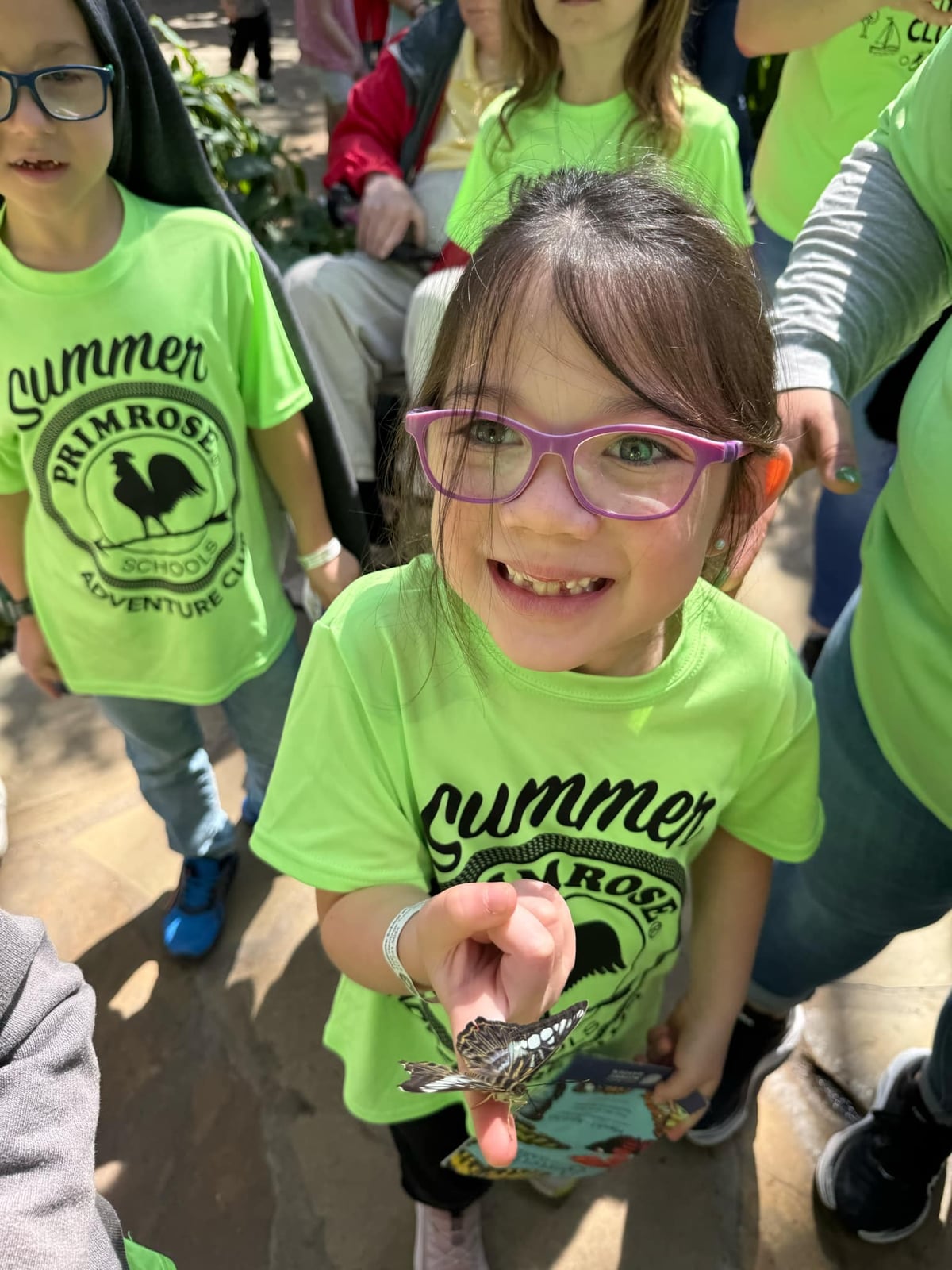 Summer camp child observing butterfly in botanical gardens on field trip to study pollinators and butterfly life cycle outdoors