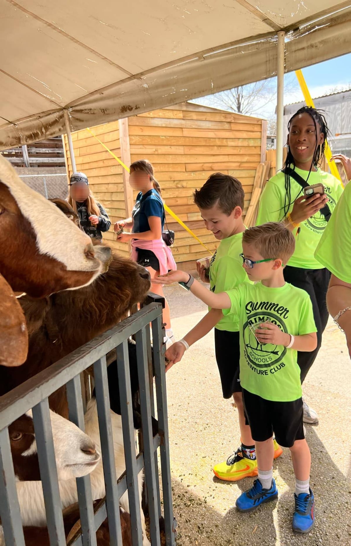 Preschoolers feeding goats at zoo field trip to learn about animals, habitats, and social skills in outdoor science lesson in Fort Worth, TX