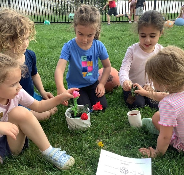 Learning about the life cycle of plants