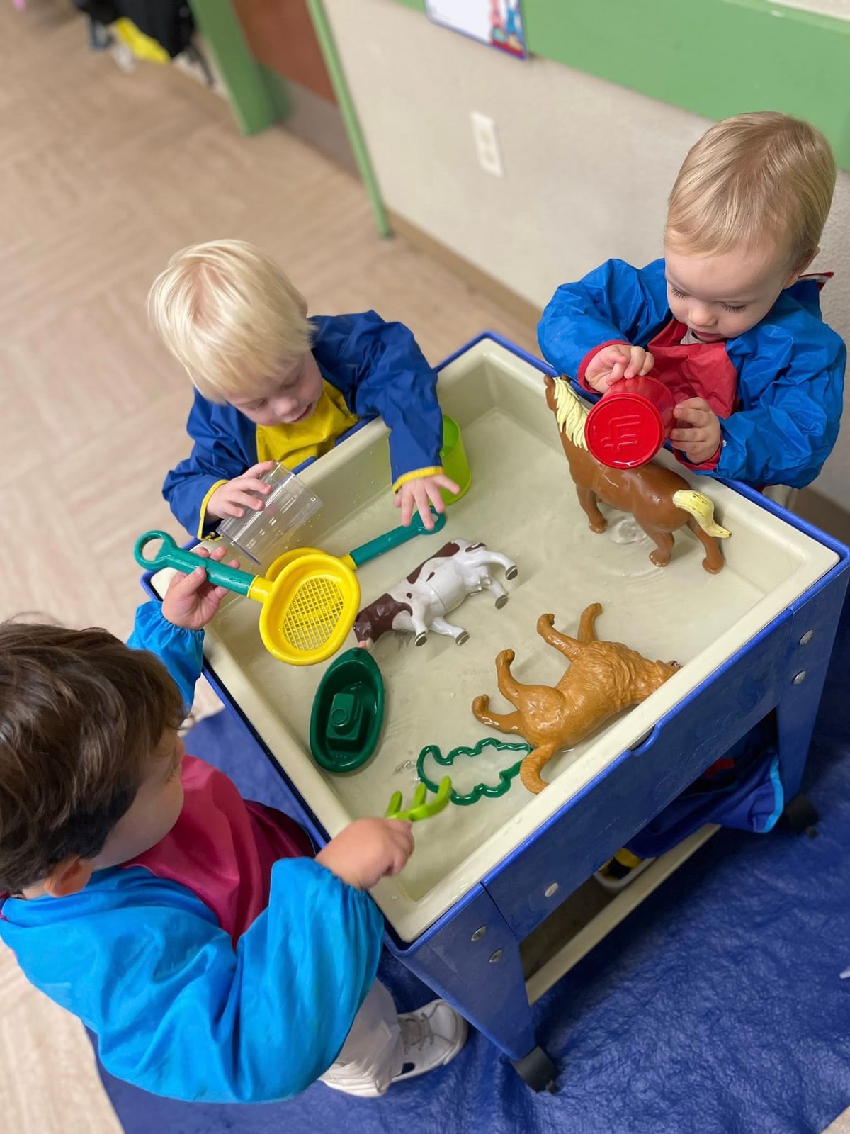 Early Preschool 1 Sensory Table