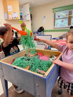Sensory Play