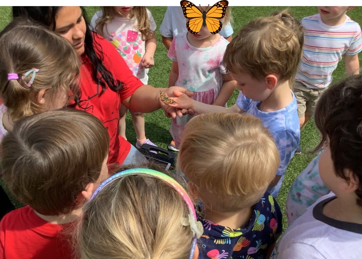 Students releasing butterflies outdoors after learning about the butterfly life cycle