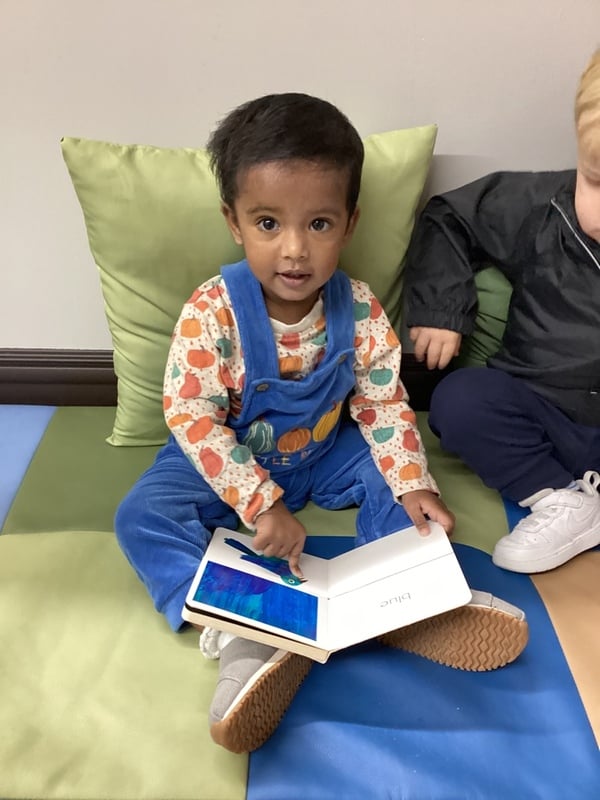 primrose schools, preschool, cottleville, books