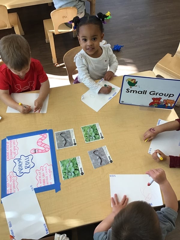 Preschoolers in small group sorting photos and drawing at table to build observation, writing, and early literacy skills.