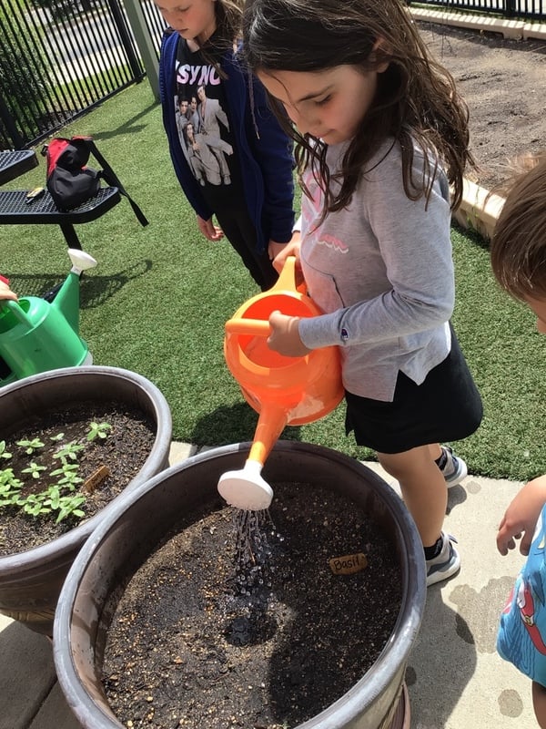 Gardening