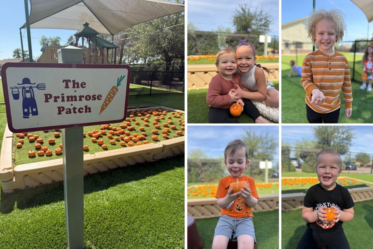 Magical Pumpkin Patch