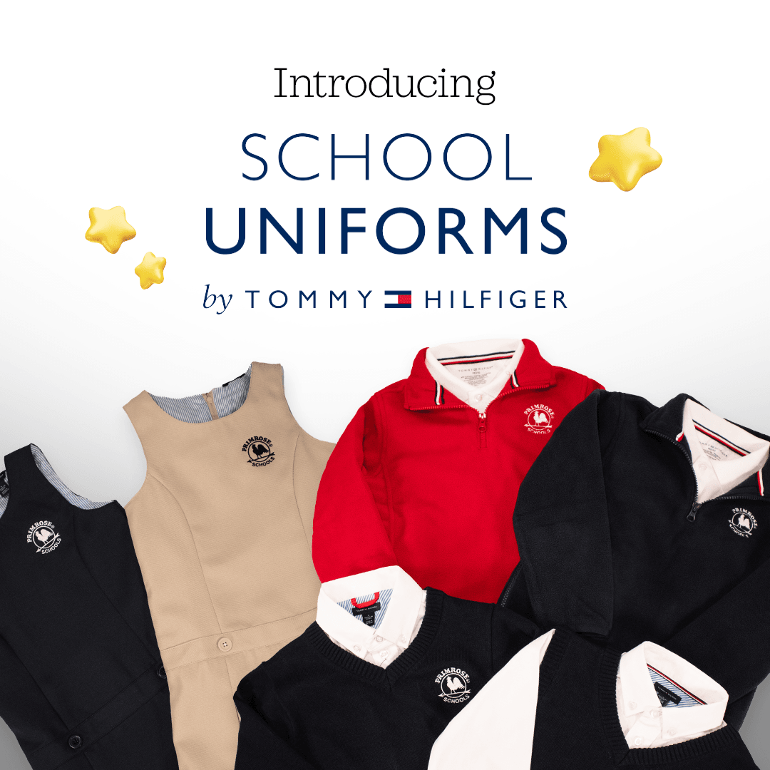 School uniform jumper dress, sweaters and polo shirts