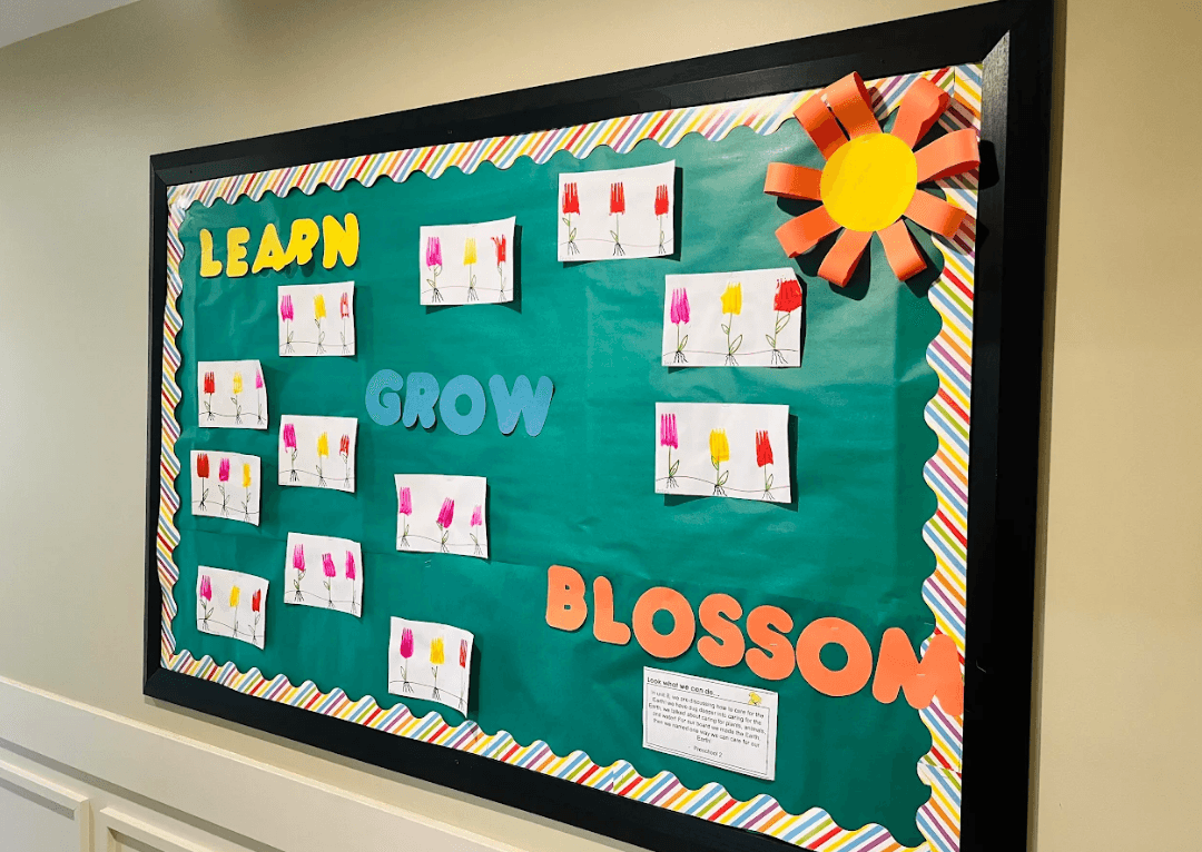 Curriculum Corner: