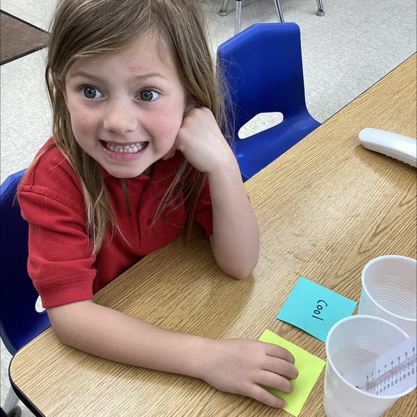 Small Group Math & Science in Pre-Kindergarten
