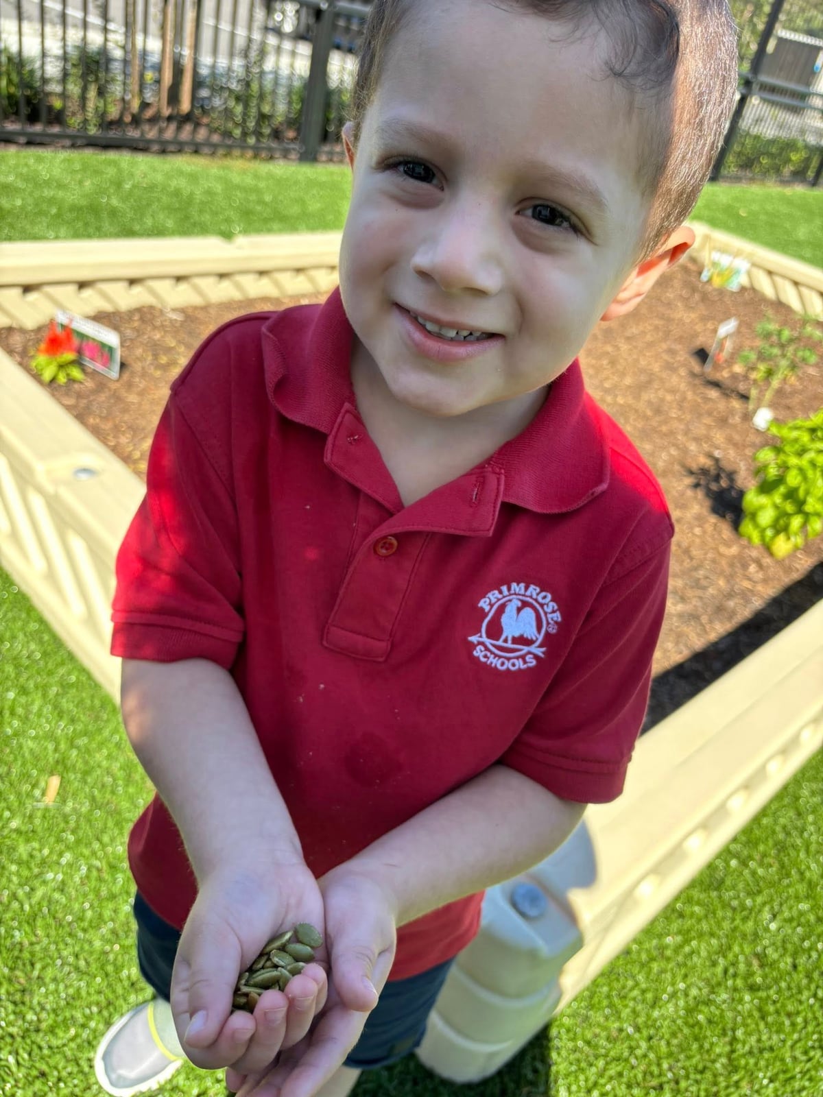 boy in red shirt holding seeds in front of garden