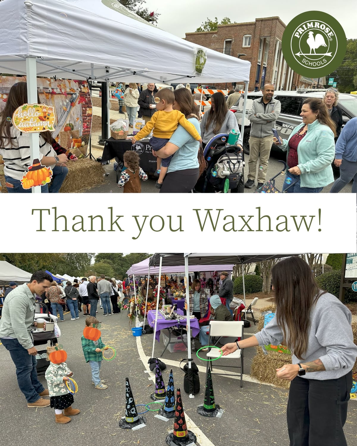 Waxhaw event Autumn Treasure Primrose